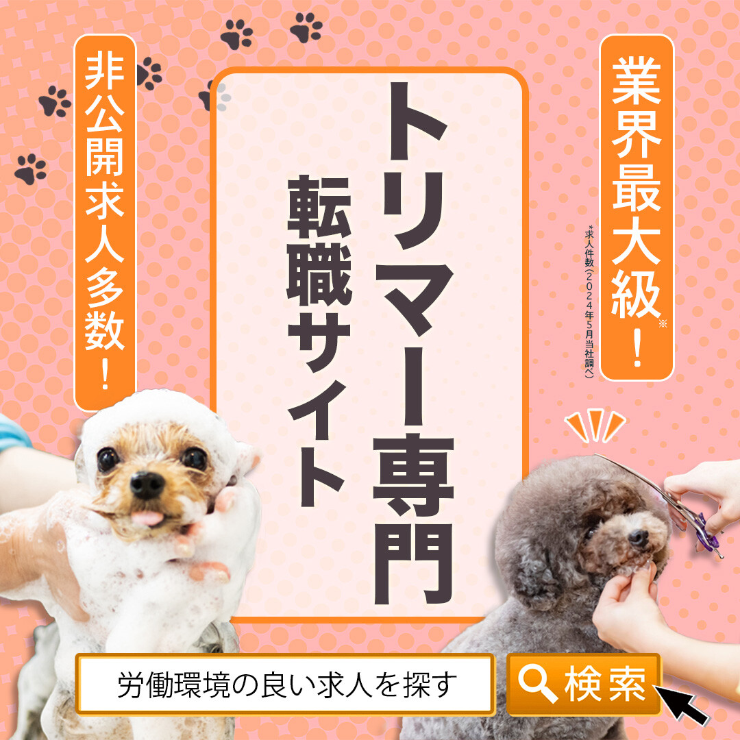 20240808_umemura_TA_torima